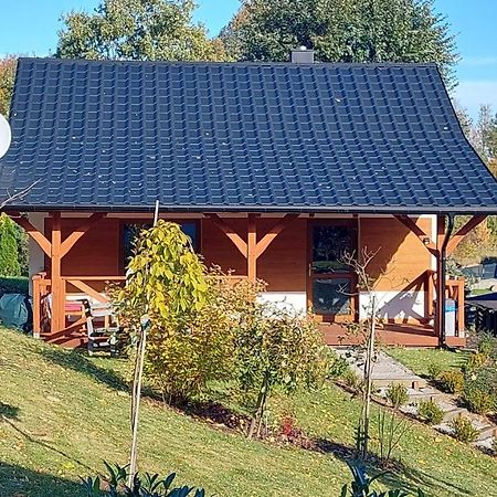 Zielony Zakatek Sosnowka Sosnówka Exterior foto